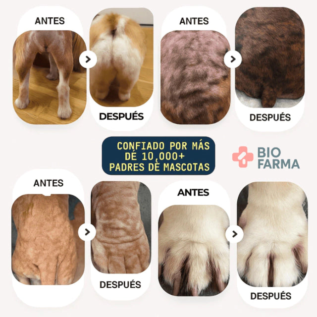 Spray Cuidado Mascota BioFarma™